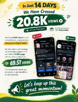 Instagram stats card showing 20.8K views in 14 days